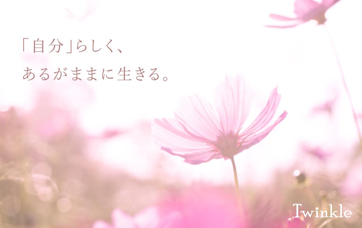 メインイメージ